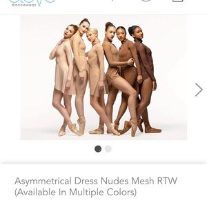 Eleve Sheer Dress in Tan